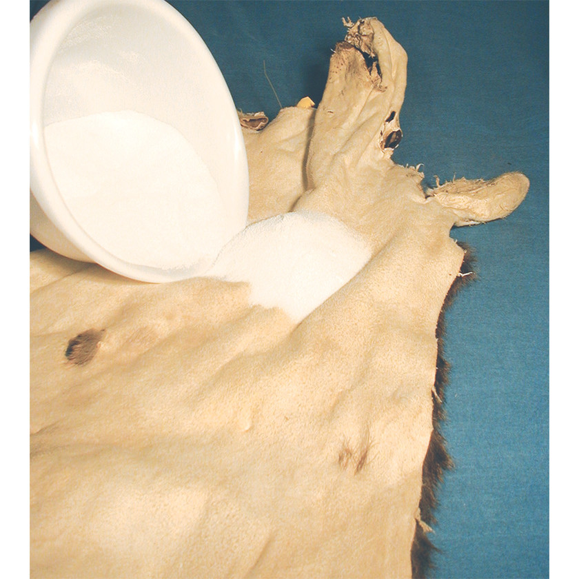 Salt (Premium) - Matuska Taxidermy Supply Company