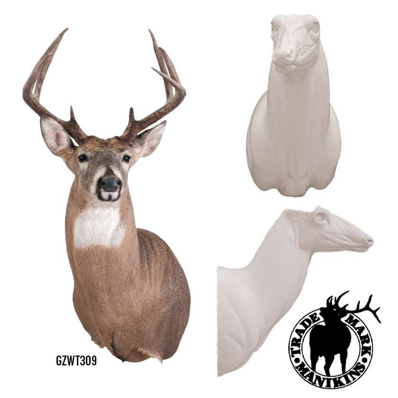 Deer-Whitetail (Upright) - Matuska Taxidermy Supply Company