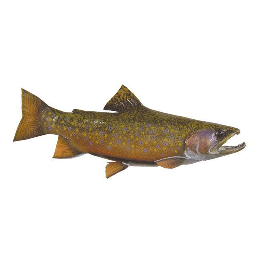 ORVIS BROOK TROUT 2 1/2oz ♯4 Photos: Zen and the Art of Brook Trout - Orvis News