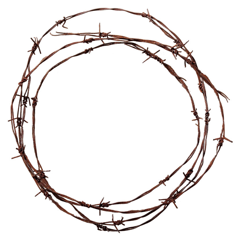 Barbed Wire - Matuska Taxidermy Supply Company