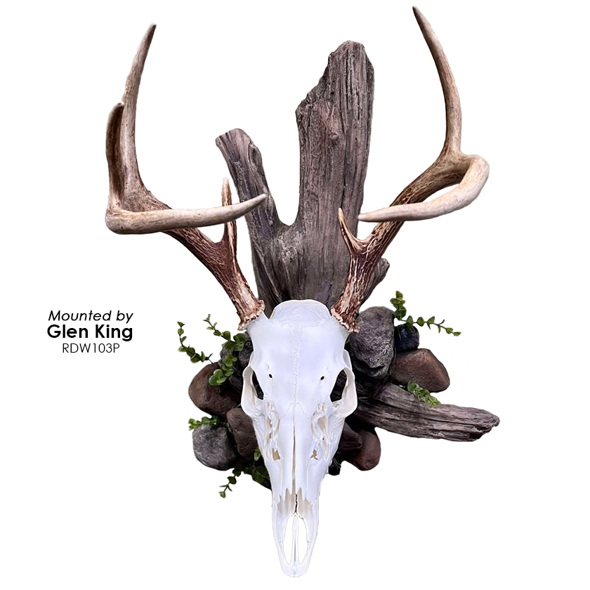 Rock/Driftwood Base (Medium) - Matuska Taxidermy Supply Company
