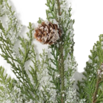 Juniper Spray (Frosted)