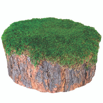 Mossy Stump