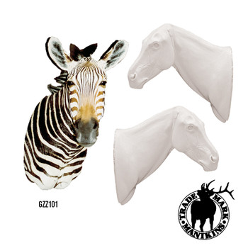 Zebra (Semi-Upright)