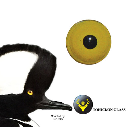 Eyes-Bird (Aspheric Style 123)