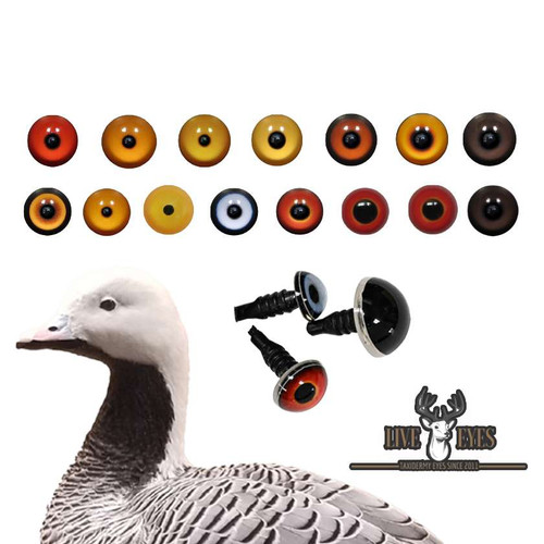 Eyes-Bird (Live Eyes) --- Dark Brown,7mm