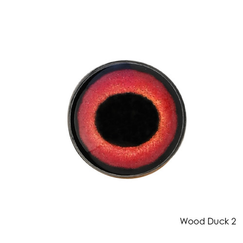 Eyes-Bird (Live Eyes)