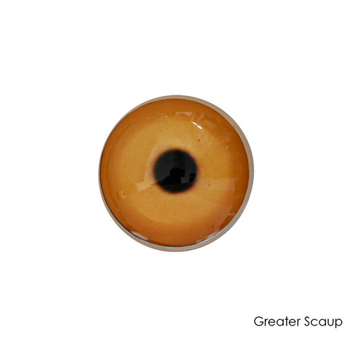 Eyes-Bird (Live Eyes)