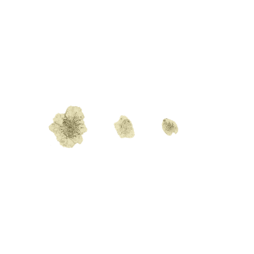 Artificial Lichen