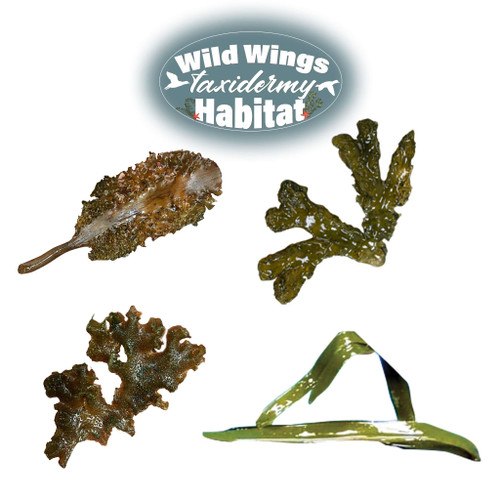 Artificial Seaweed
