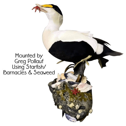 Artificial Barnacles