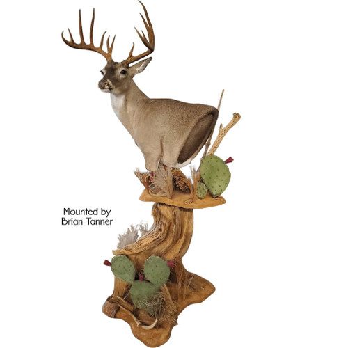 Artificial Loose Leaf Cactus by Hibler Bronze Company