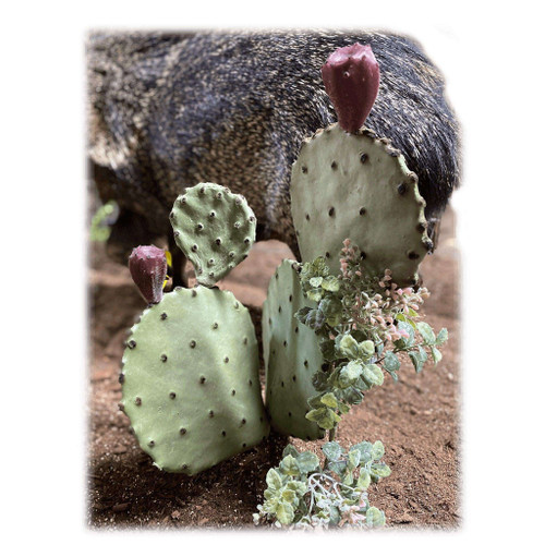 Artificial Loose Leaf Cactus by Hibler Bronze Company