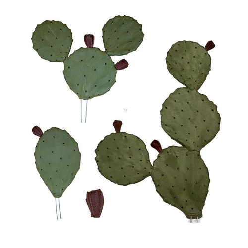 Artificial Loose Leaf Cactus by Hibler Bronze Company