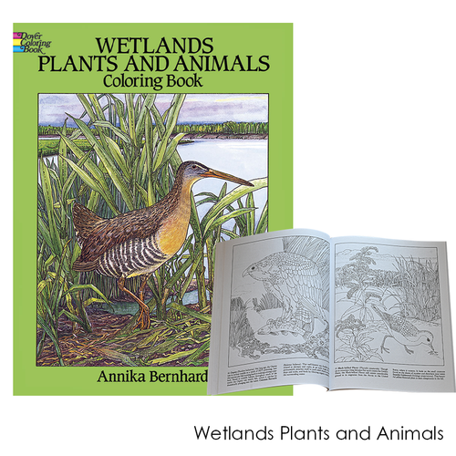 Book | Wildlife Coloring