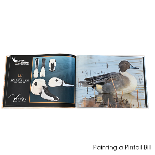 Reference Books-Painting a Bird Bill or Beak