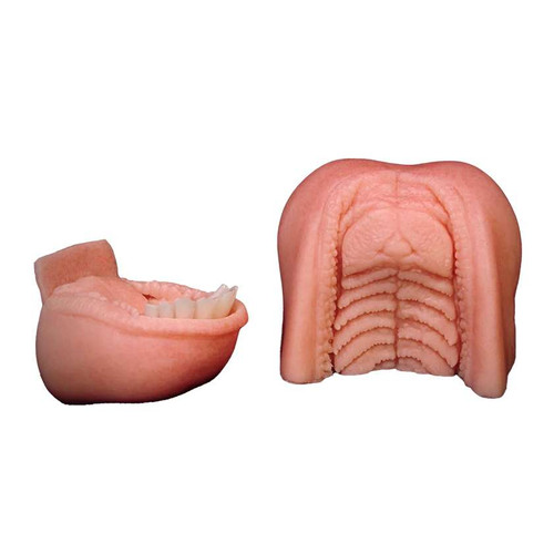 Replacement Mouthpiece - Flehmen by Champions Choice