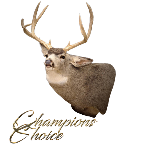 Replacement Mouthpiece - Flehmen by Champions Choice