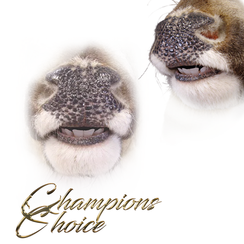 Replacement Mouthpiece - Split Lip by Champions Choice