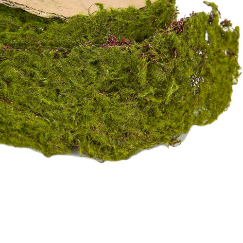 Moss Spool