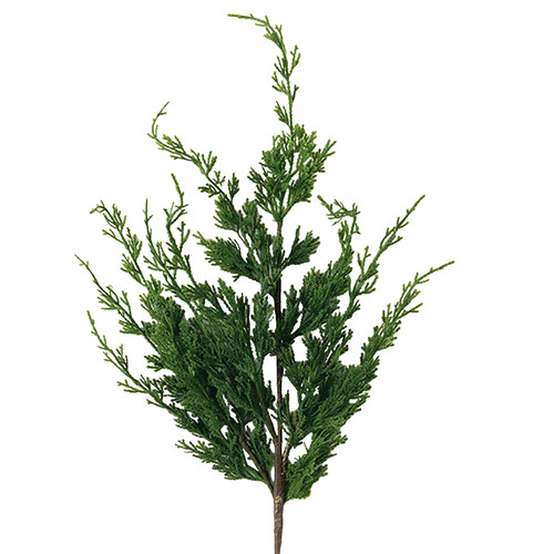 Cedar Spray