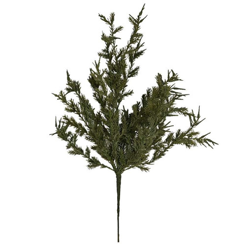 Juniper Spray