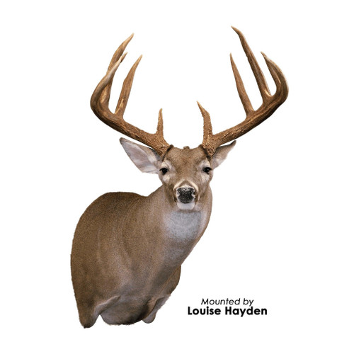 Whitetail Deer | XPSW (Semi-Sneak Offset )