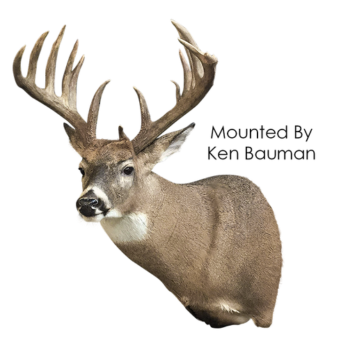 Whitetail Deer | XPSW (Semi-Sneak Offset )