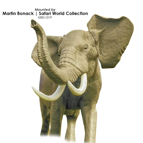Elephant | Right Turn