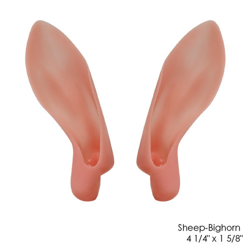 Earliners-Competition (by Safari World Collection)