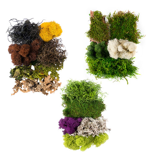 Moss Mix - Matuska Taxidermy Supply Company