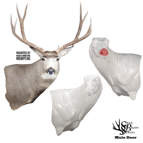 Mule Deer | SB (Wall Pedestal)