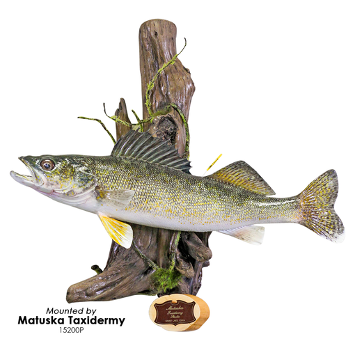 Artificial Driftwood