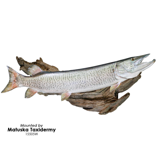 Artificial Driftwood
