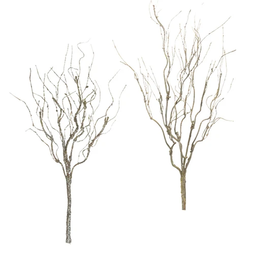 Bush Twig