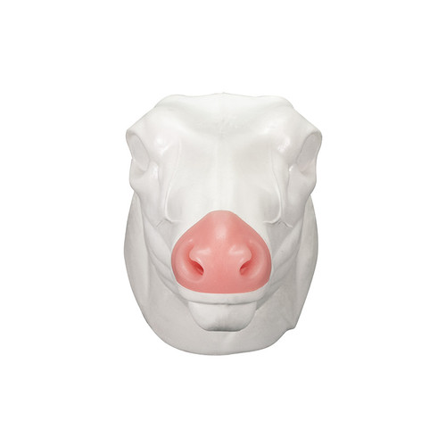 Deer | Mule by SB