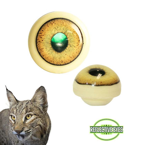 Eyes-Bobcat/Lynx (Reflective-w/ capsule)