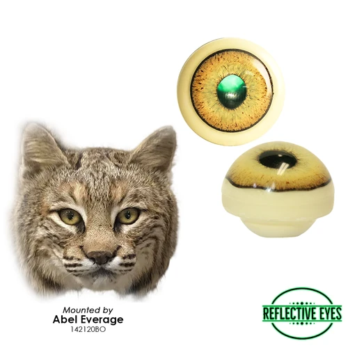 Eyes-Bobcat/Lynx (Reflective-w/ capsule)