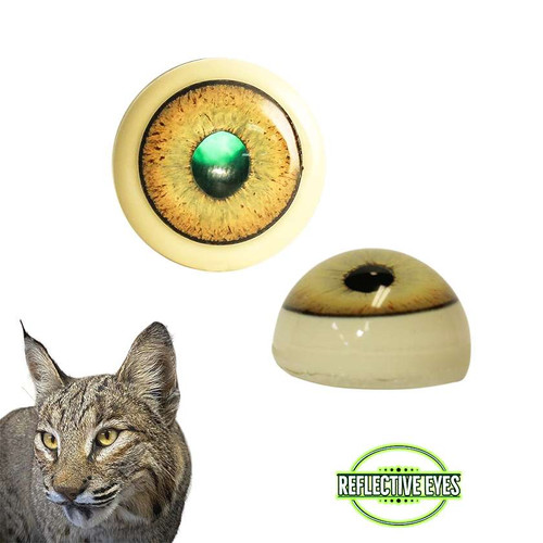 Eyes-Bobcat/Lynx (Reflective-flat back)