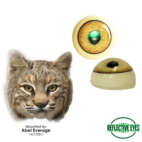Eyes-Bobcat/Lynx (Reflective-flat back)