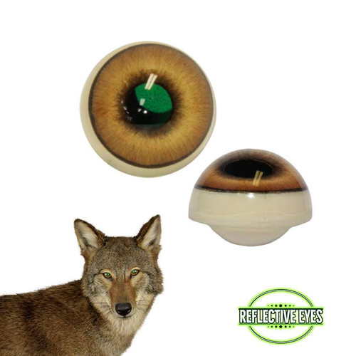 Eyes-Coyote (Reflective-w/ capsule)