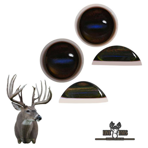 Eyes-Deer (Live-white banded dark)