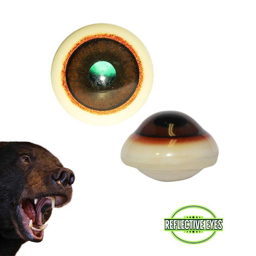 Eyes-Bear/Boar (Reflective-anatomical lens w/ cap.-14/20mm)