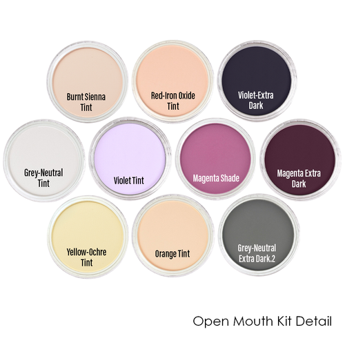 PanPastel | 10 Piece Kits