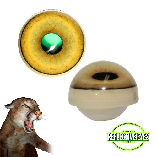 Eyes-Lion-Mountain/Cougar (Reflective-w/ capsule)