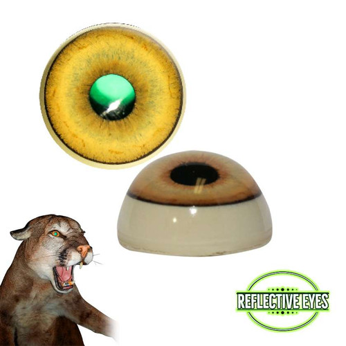 Eyes-Lion-Mountain/Cougar (Reflective-flat back)
