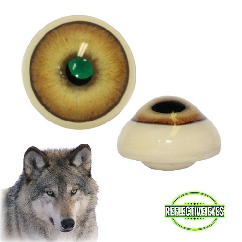 Eyes-Wolf (Reflective-anatomical w/ capsule-18/25mm)