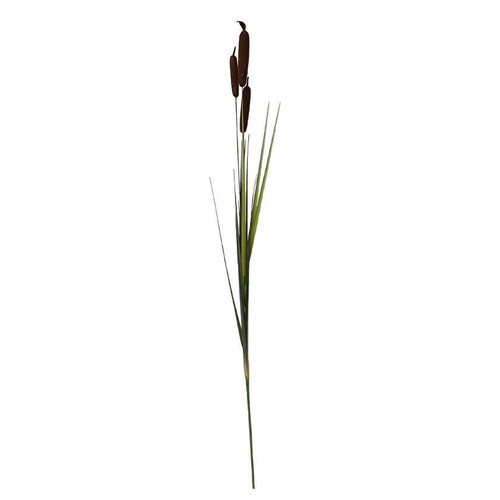 Cattail (47.5")