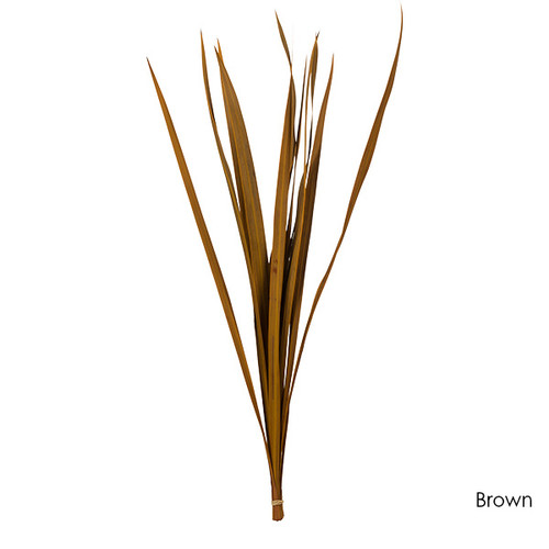 Snake Grass Bundle (18-30")