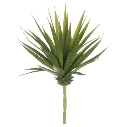 Yucca Plant (8")